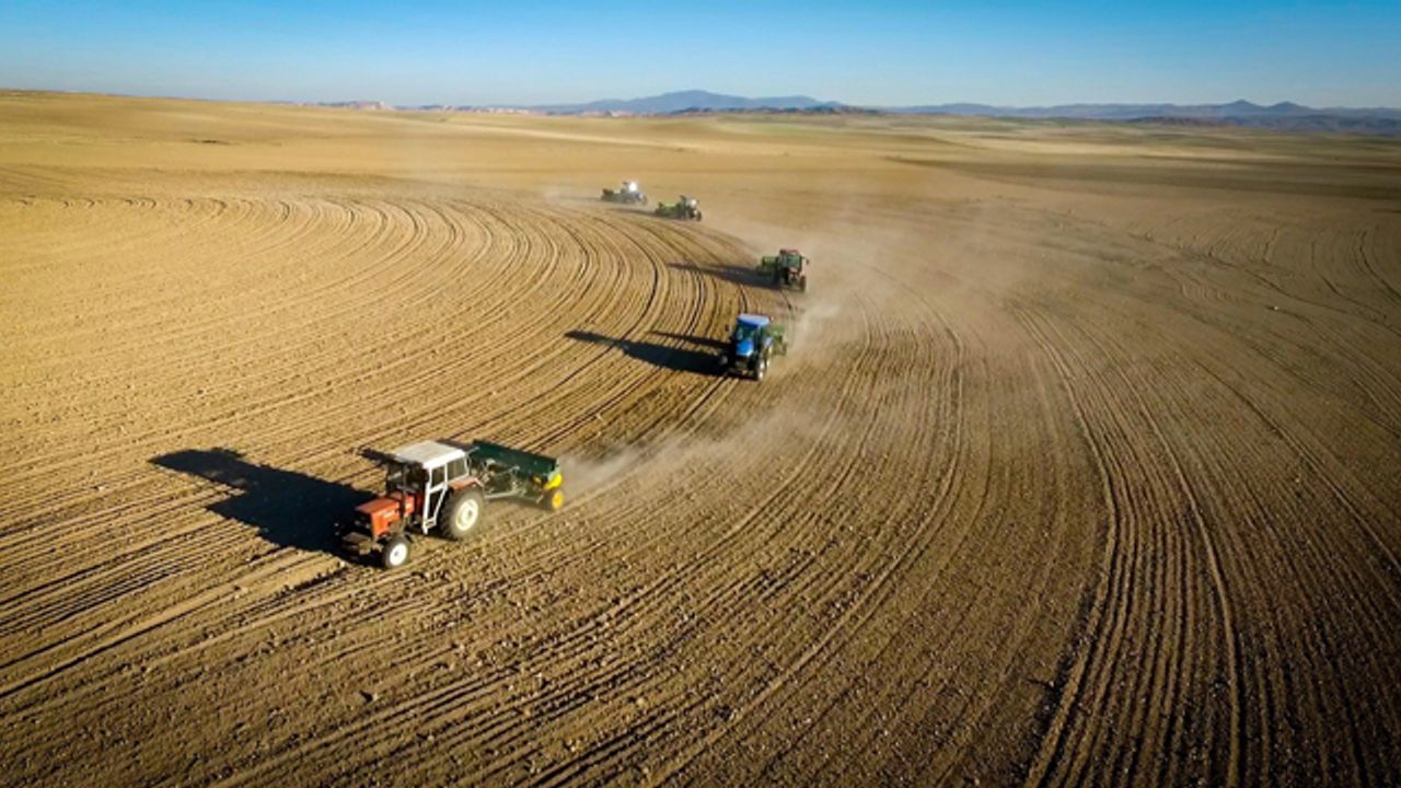 4 bin dekarlık tarımsal araziye 80 ton tohum