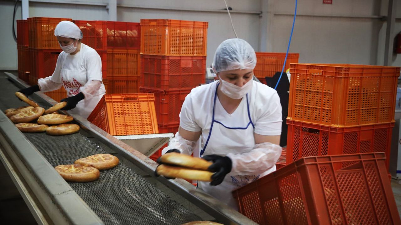 Başkan Büyükerşen'den halk ekmek ve hasat müjdesi