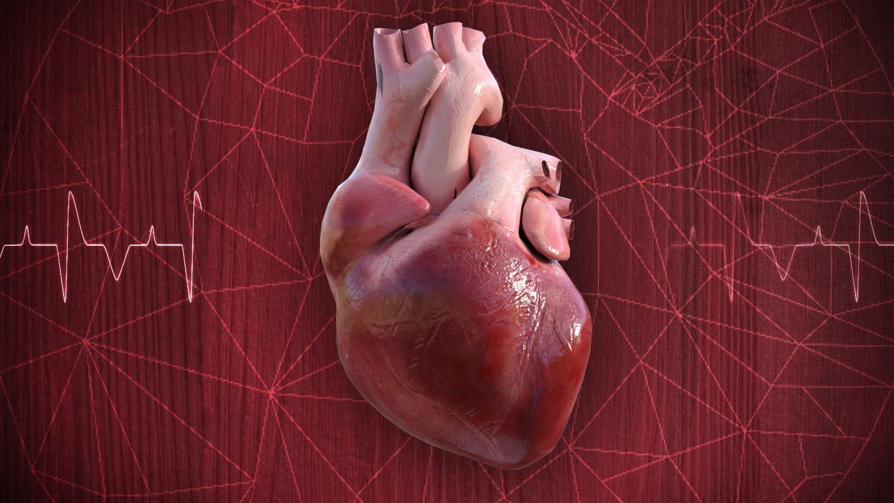 Kalp ve damar hastalıklarından çabalarımızla korunabiliriz