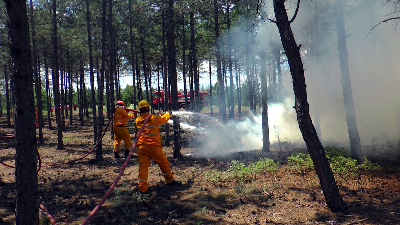 Orman yangınları ile mücadelede işbirliği konuşuldu