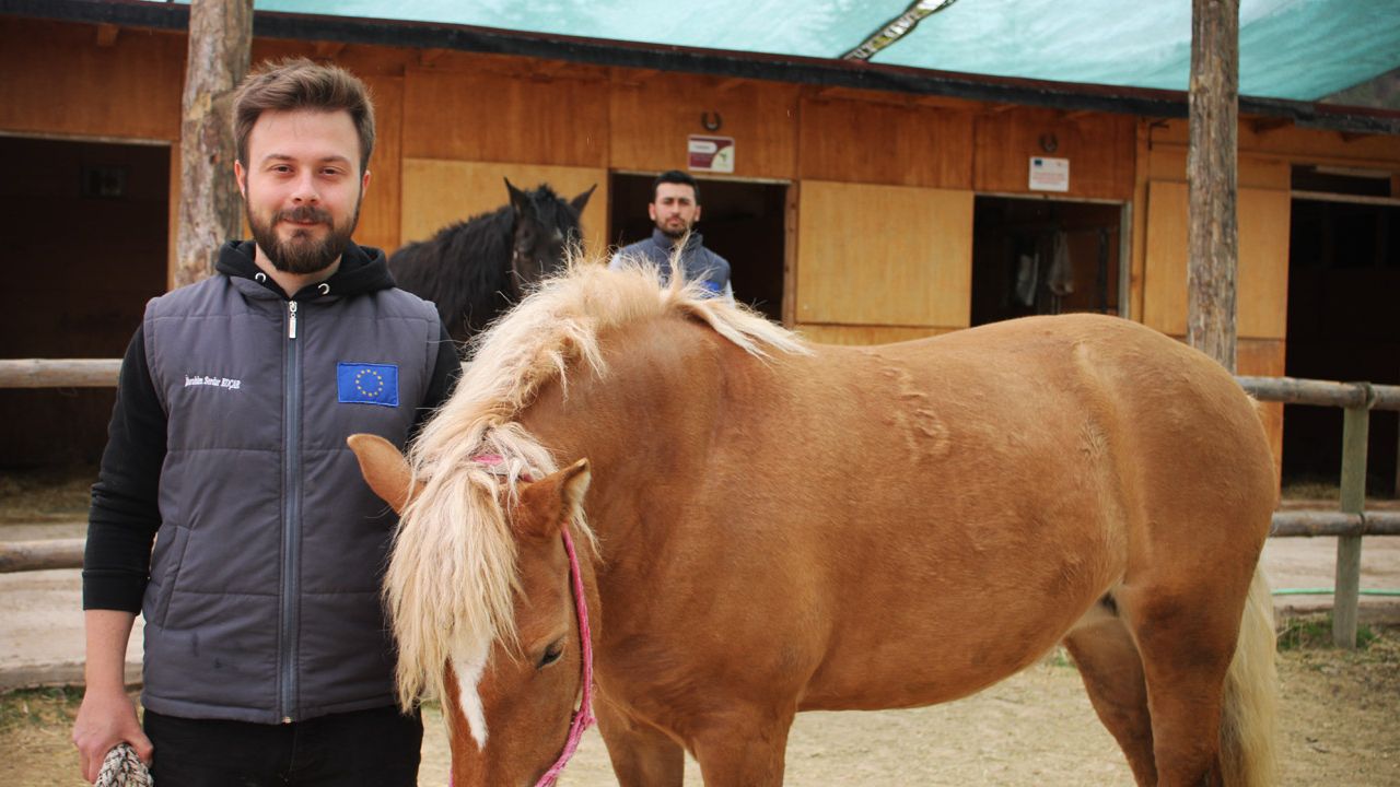 At ile insan ilişkisi içerisinde Hippoterapi yöntemi