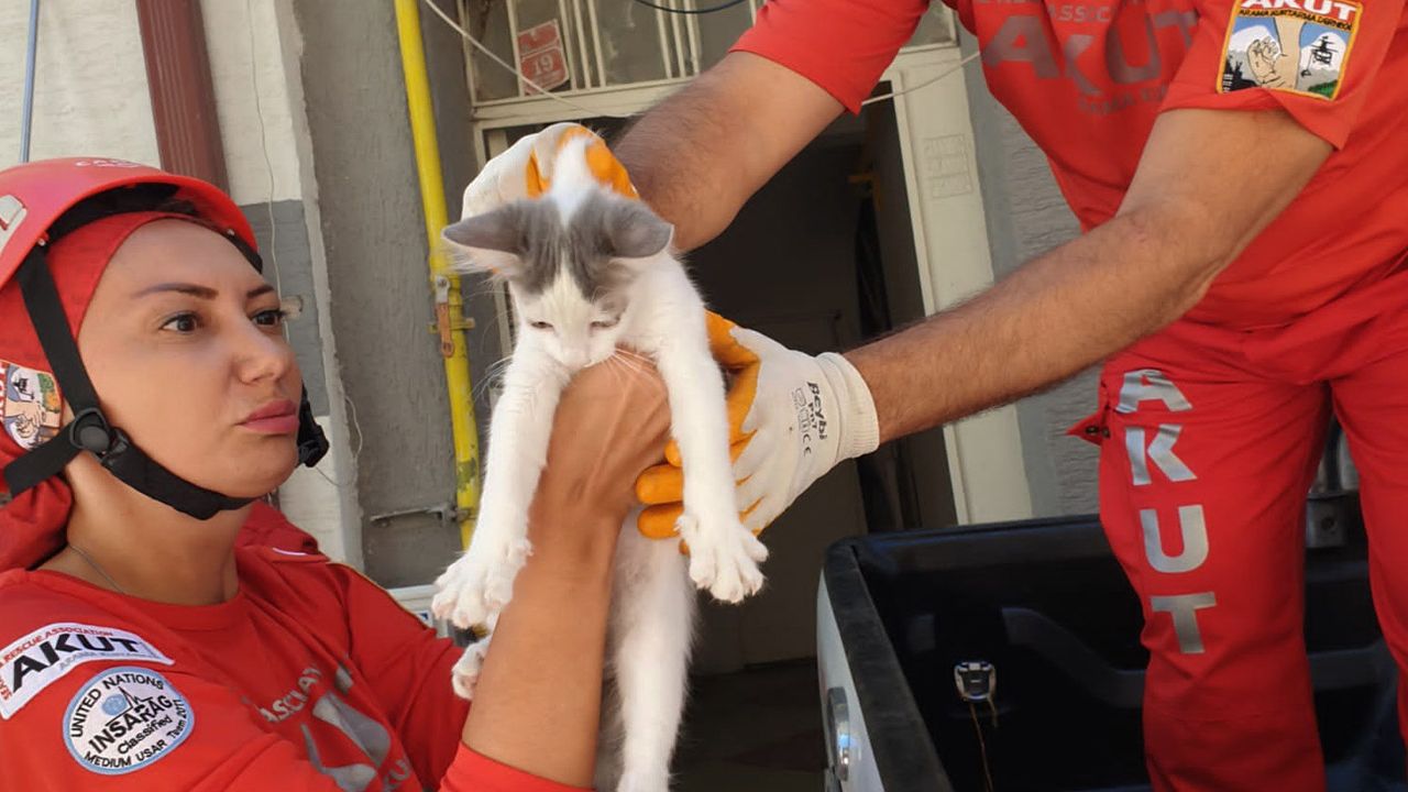 Binanın ikinci katında mahsur kalan kedi AKUT’un operasyonuyla kurtarıldı