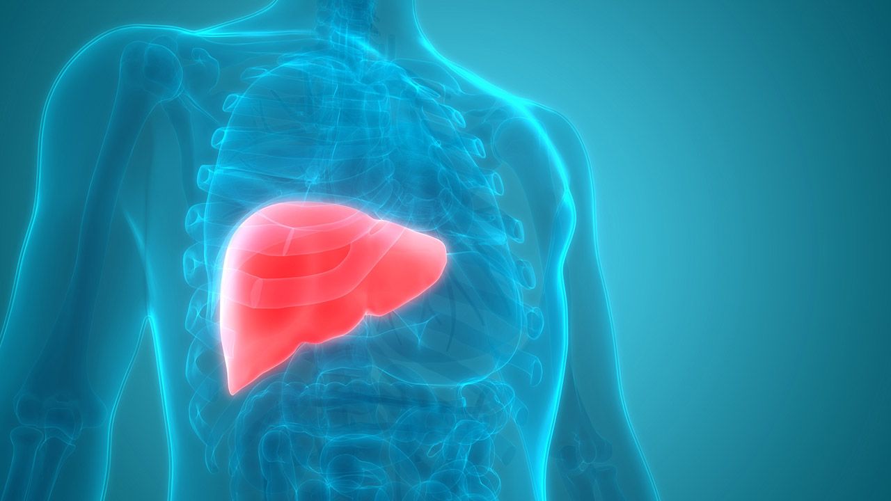 Hepatit B ve C karaciğer kanseri için risk oluşturuyor