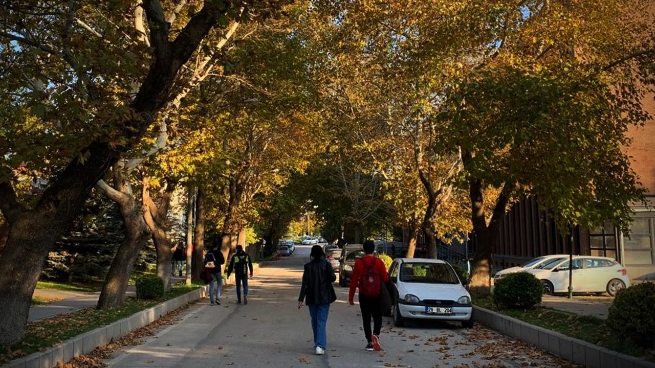 Anadolu Üniversitesi'nde eşsiz sonbahar manzaraları