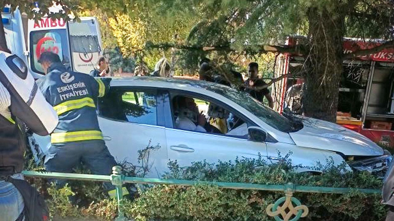 Ağaca çarpan otomobilin sürücüsü yaralandı