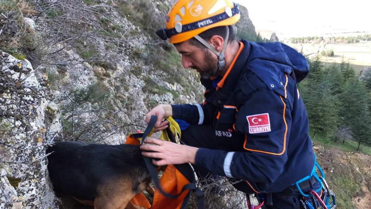 Dağlık arazide kalan köpek arama kurtarma ekiplerince kurtarıldı