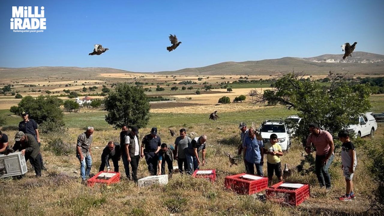 Eskişehir'de 600 kınalı keklik doğaya salındı