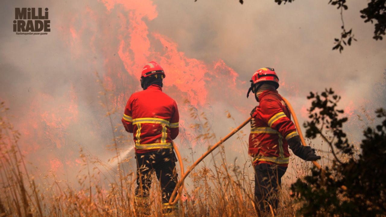 Eskişehir’de ki orman yangını söndürüldü