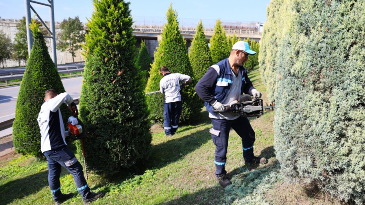 Büyükşehir, daha yeşil Kocaeli için sahada
