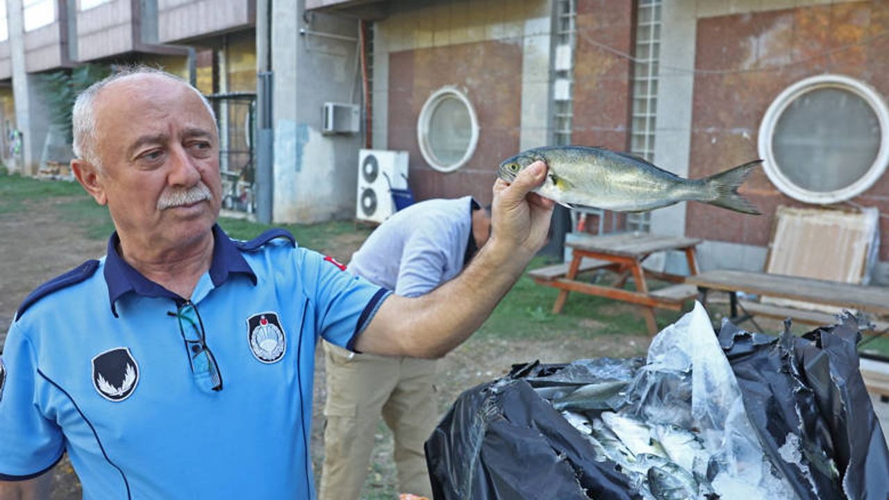 Büyükşehir zabıtasından otogar da usulsüz taşımacılığa operasyon