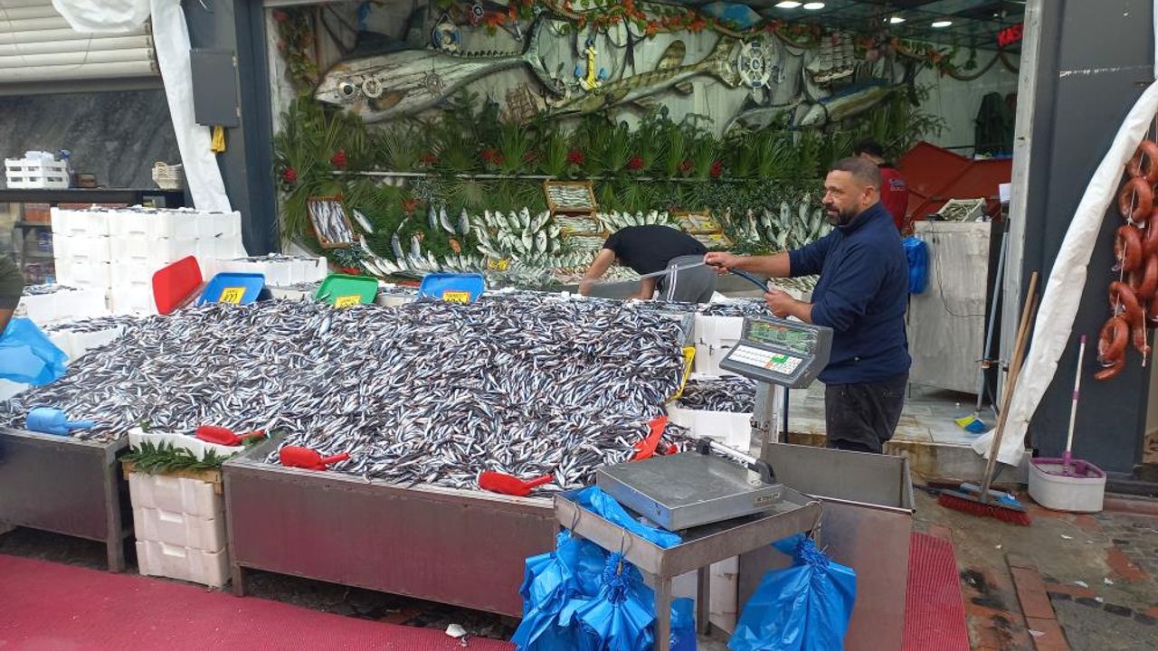 Havalar soğudu, hamsi 100 liraya düştü