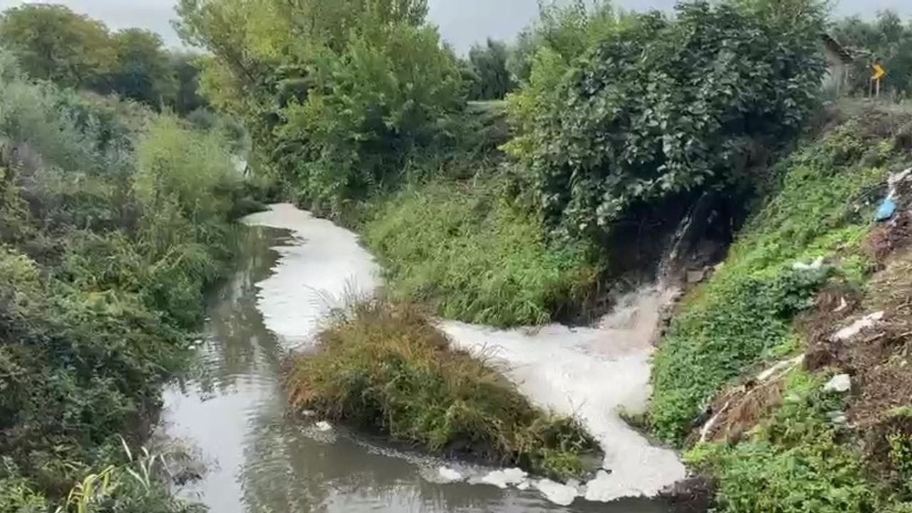 Karsak Deresi’ndeki kirlilik Gemlik Körfezi’ne ulaştı