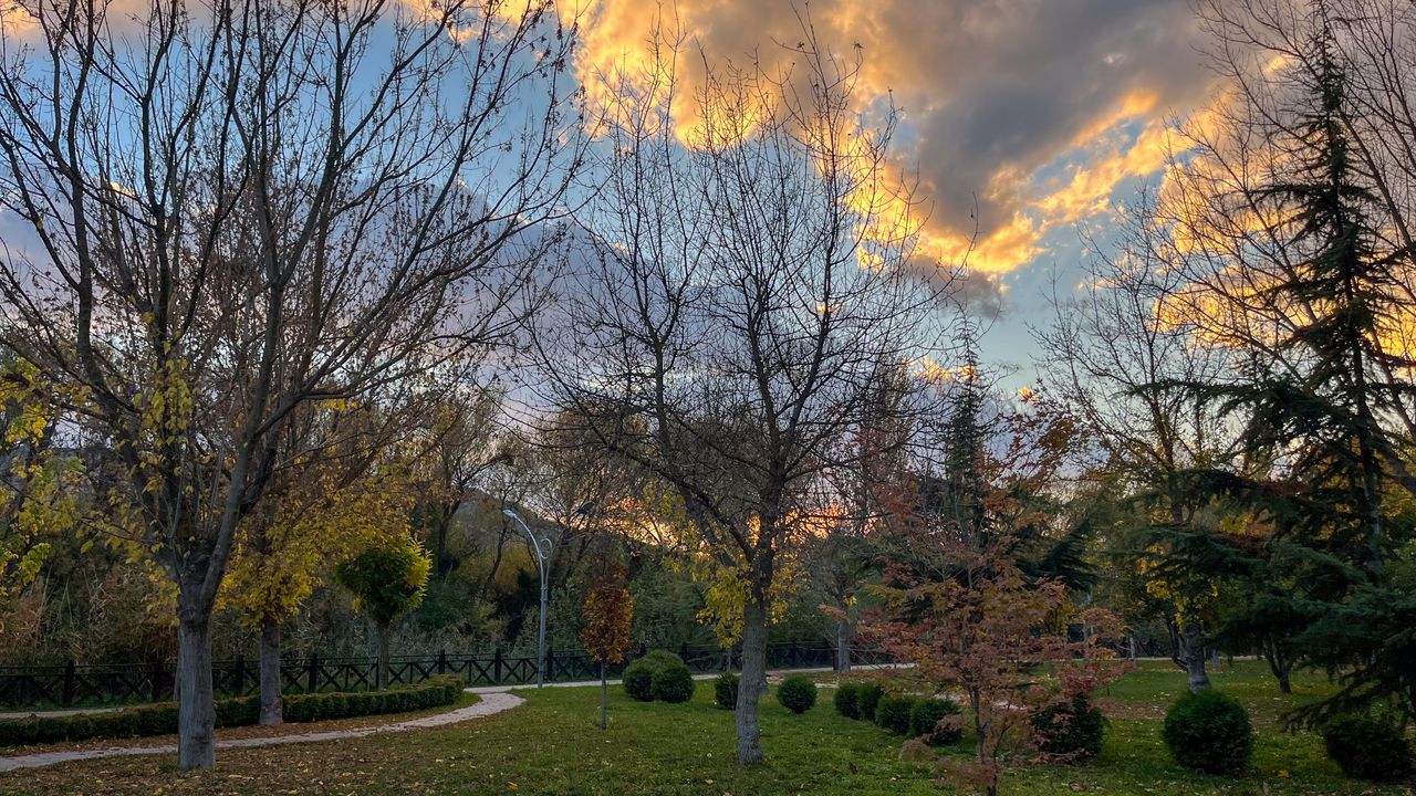 Sonbahar renkleri Eskişehir'i süsledi