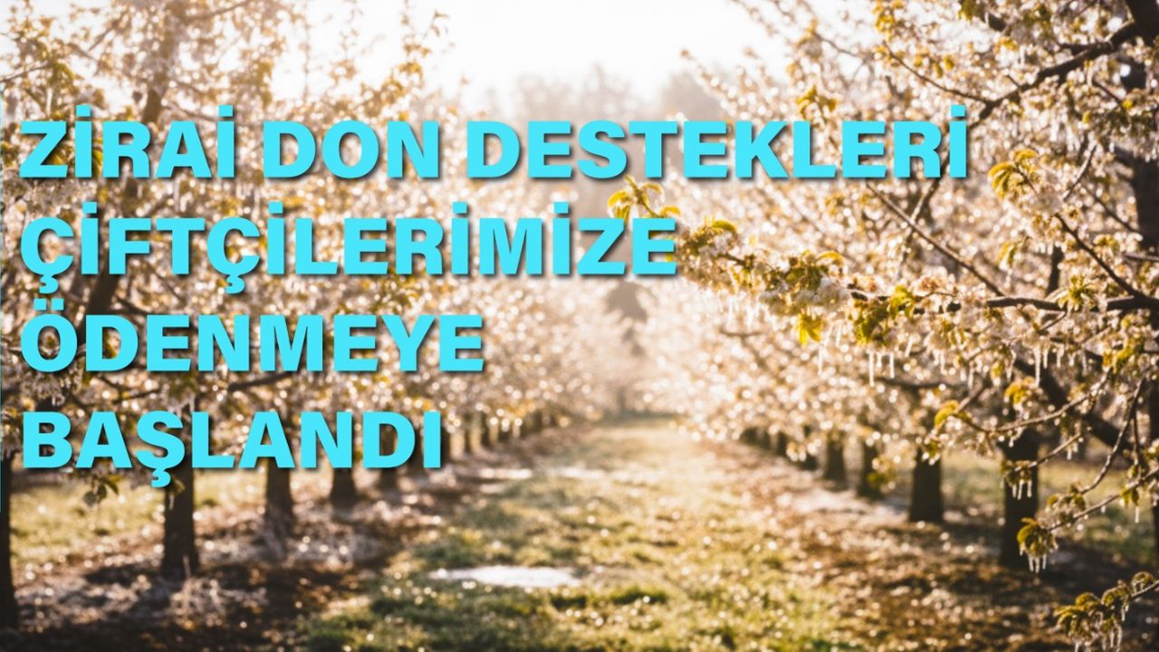 Eskişehir’de zirai donun yaraları sarılıyor