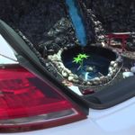 Bursa Tuning Fest'te Bagajında Kaplumbağalar Yaşayan Otomobil İlgi Odağı Oldu