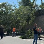Eskişehir’de Devrilen Ağaç Trafiği Aksattı