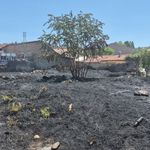 Eskişehir’de Otluk Alanda Yangın Paniği