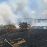 Bilecik'te Tarla Yangını: 30 Dönüm Arazi Kül Oldu