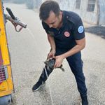 Tepebaşı’nda Orman Yangını: Kaplumbağa Kurtarıldı