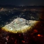 Sivrihisar’da Kuş Yangına Sebep Oldu