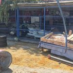 Eskişehir’de Otomobil Dükkana Girdi