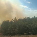 Bolu'daki Orman Yangınına Havadan Müdahale!