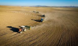 4 bin dekarlık tarımsal araziye 80 ton tohum