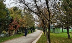 Son cemre toprağa düştü baharın müjdecisi artık geldi