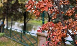 Eskişehir parkları sonbahar renklerine büründü
