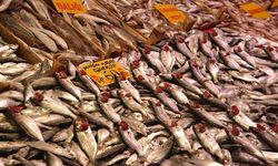 En hesaplı hayvansal protein kaynağı 'Balık'
