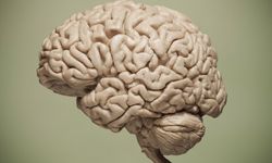 Nöroloji uzmanından beyin krizi konusunda önemli uyarılar