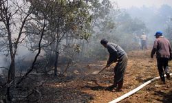 Gönüllülere orman yangını eğitimi