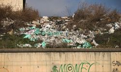 Yol kenarındaki çöpler kirliliğine neden oluyor