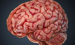 Yüksek tansiyon beyin kanamasına neden oluyor