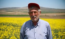 Biyodizel ham maddesi "kanola" çiftçinin yeni umudu oldu