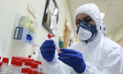 Küresel Alarm: DSÖ'den Afrika'daki Ebola Salgını İçin Acil Durum İlanı!