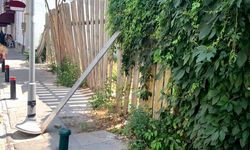 Düşmeye yüz tutmuş çitler için vatandaştan ilginç çözüm