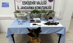 Uyuşturucu madde yetiştiren şahıslar Jandarma'dan kaçamadı