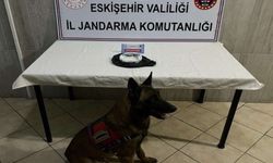 Eskişehir'de 12 farklı uyuşturucu operasyonu