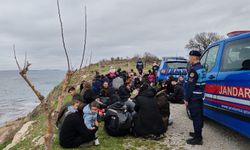 Minibüs içinde 68 kaçak göçmen yakalandı
