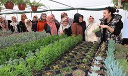 Eskişehir'de kadın çiftçilere  süs bitkisi eğitimi