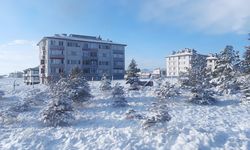 Eskişehir'e Mart ayında kar sürprizi