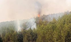 Eskişehir’de orman yangını: 1 hektarlık alan zarar gördü