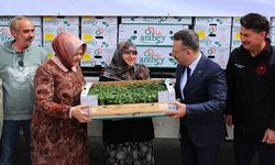 Vali Aksoy çiftçilere domates fidesi dağıttı