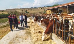 Hastalıktan ari 200 işletme hedefiyle çalışmalar devam ediyor