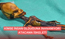 Pek çok kişinin insan olduğuna inanamadığı esrarengiz keşif: Atacama İskeleti