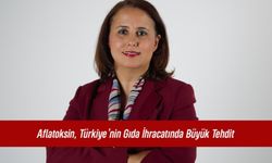 Aflatoksin, Türkiye’nin Gıda İhracatında Büyük Tehdit