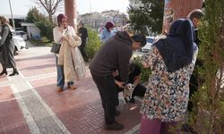 Bursa'da 4 büyüklüğünde deprem