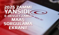 2025 zammı yansıdı: e-Devlet zamlı maaş sorgulama ekranı!