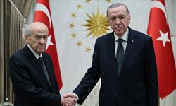 Erdoğan ve Bahçeli ne görüşecek ?